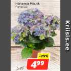 Магазин:Hüper Rimi, Rimi,Скидка:Гортензии