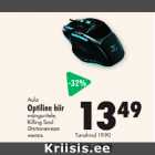 Optiline hiir Aula