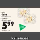 Öölutt