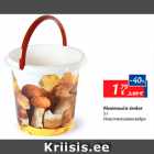 Plastmassist ämber 5 l