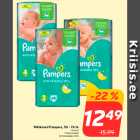 Mähkmed - Mähkmed Pampers, 50 - 76 tk

