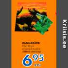 RANNARÄTIK 