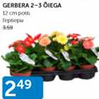 Магазин:Maksimarket, Konsum,Скидка:ГЕРБЕРЫ