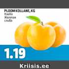 PLOOM KOLLANE, KG