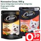 Корм для собак