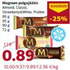 Magnum pulgajäätis