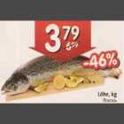 Lõhe