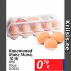 Kanamunad Muhe Muna, 10 tk