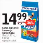 Koera kuivsööt looma- ja linnulihaga