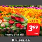 Магазин:Hüper Rimi, Rimi, Mini Rimi,Скидка:Букет тюльпанов 7 стеблей, 35 см