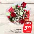  Roosikimp
kipslillega, 40 cm, 6 vart