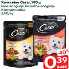 Корм для собак