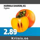 HURMAA SHARON, KG