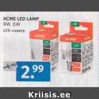 ACME LED LAMP