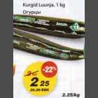 Kurgid Luunja