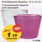 Orhideepott klaasist
