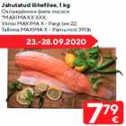 Allahindlus - Jahutatud lõhefilee, 1 kg
