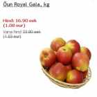 Õun Royal Gala