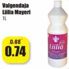 Allahindlus - Valgendaja
Liilia Mayeri
1L