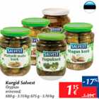 Kurgid Salvest