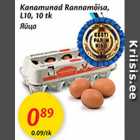 Kanamunad Rannamõisa, L10, 10 tk
