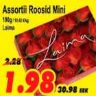 Allahindlus - Assorti Roosid Mini Laima