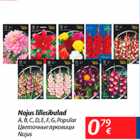 Магазин:Maxima,Скидка:Цветочные луковицы Nojus 