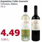 Argentiina Callia lauavein