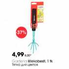 Cоrdеna lillekobesti, 1 tk