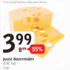 Juust Bayerntaler