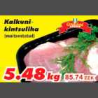 Мясо индюка