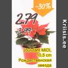 Jõulutäht MIDI, 10,5 cm