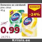 Магазин:Comarket,Скидка:Освежитель для туалета Domestos сосна, цитрусовые 40 г