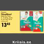 Allahindlus - Pampers
Püksmähkmed
