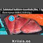 Allahindlus - Sulatatud kulduim-tuunikala filee, 1 kg