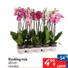 Магазин:Maxima,Скидка:Орхидея