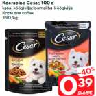 Koeraeine Cesar, 100 g

